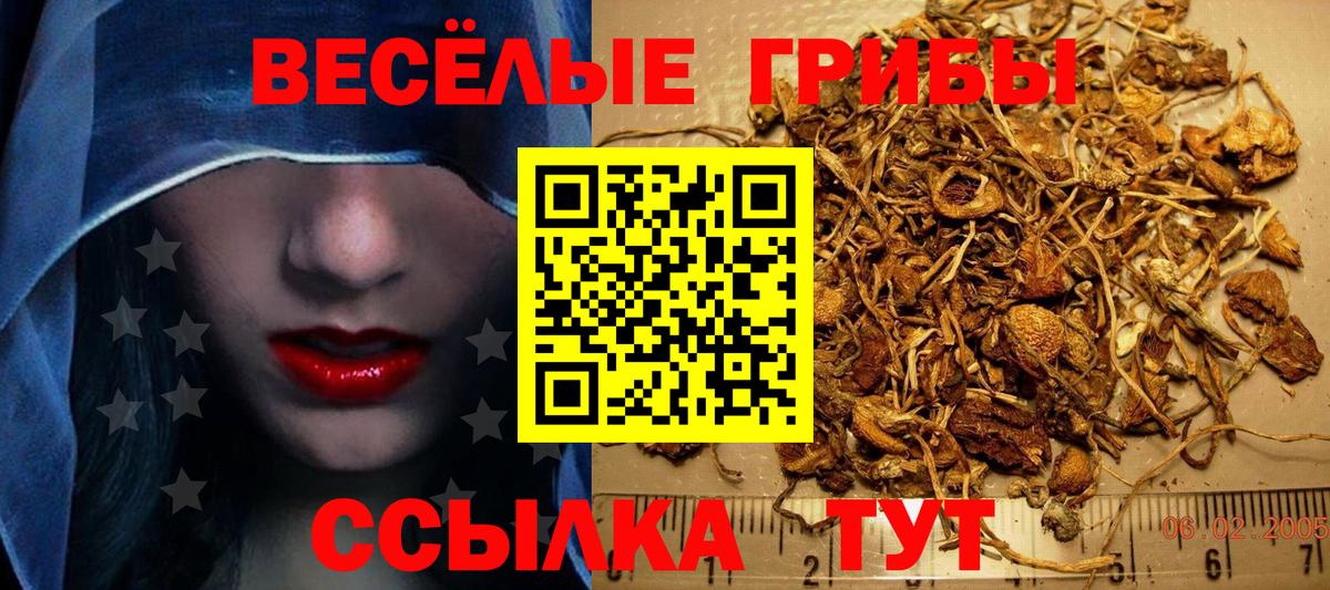 Дубна  Псилоцибиновые грибы Psilocybine cubensis  Вход с VPN 