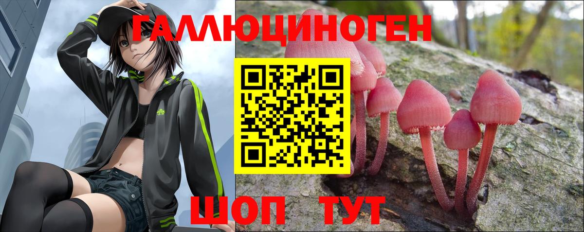 Псилоцибиновые грибы мухоморы Дубна